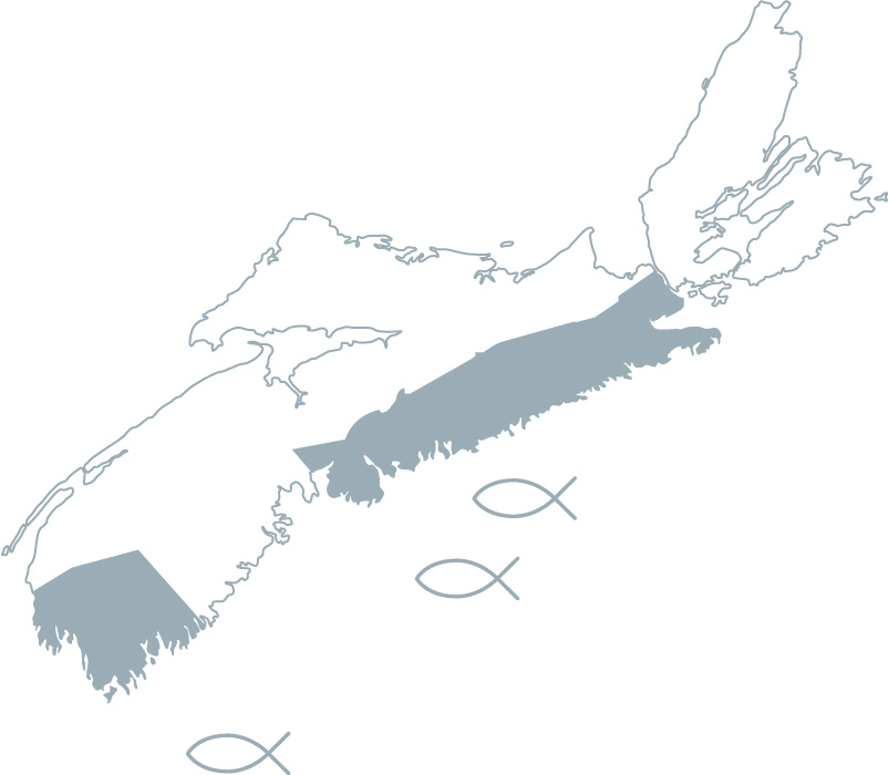 Swordfish Nova Scotia Seafood