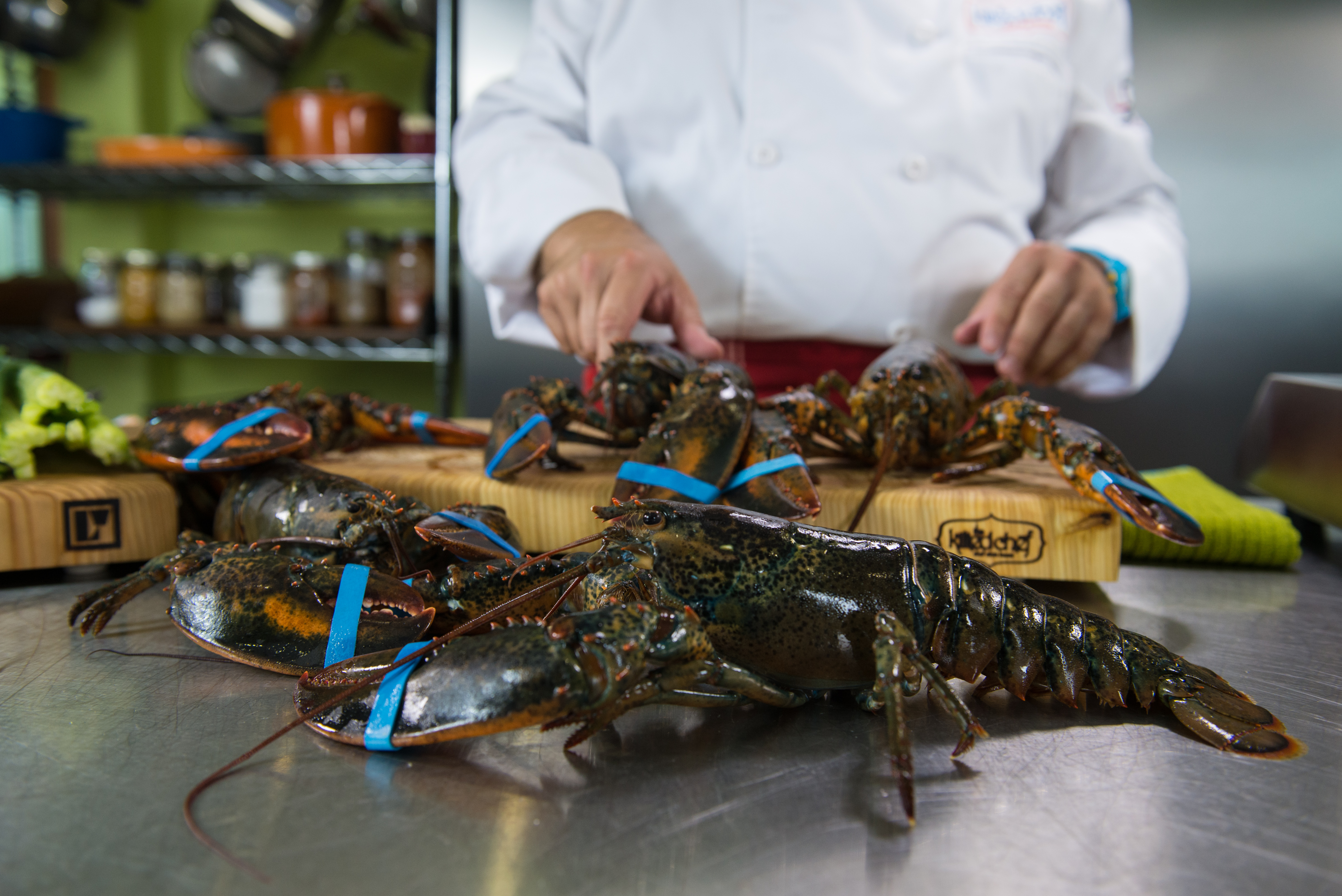 A photo of live lobster on top of a counter.